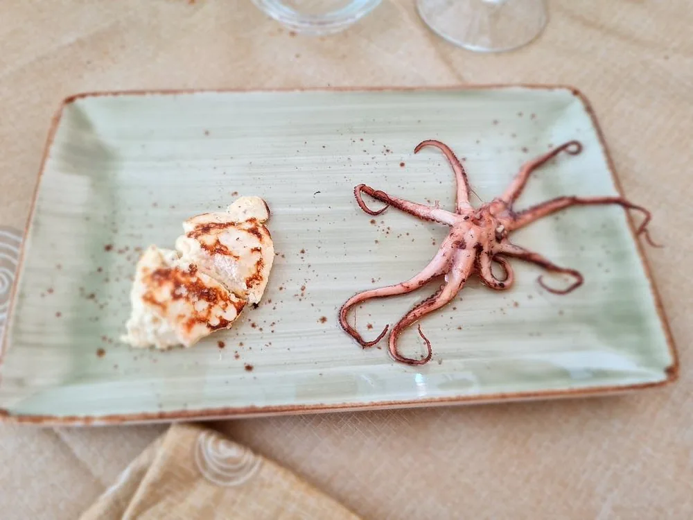 Polpo e pesce su piatto verde · Kairos, Crotone